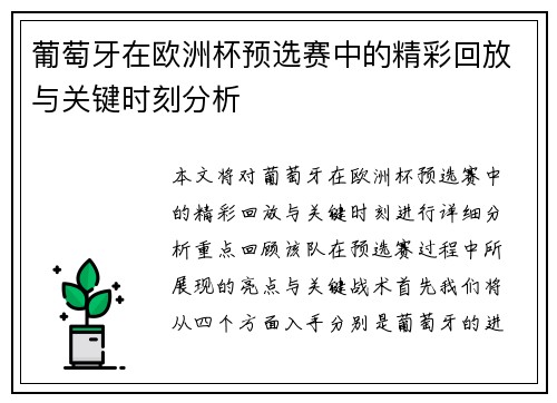 葡萄牙在欧洲杯预选赛中的精彩回放与关键时刻分析